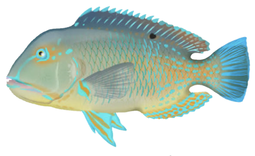 Bluebone AI mascot